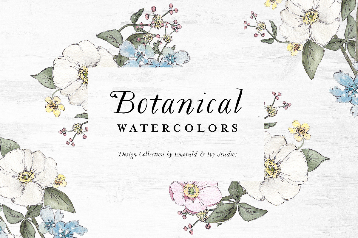 Botanical Watercolor Collection, an Illustration by Emerald & Ivy Studios (Photo 1 of 12)