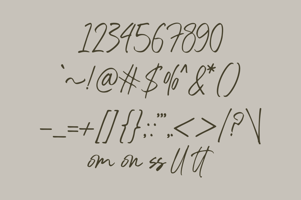 Baleono - Script Font, a Handwritten Font by GFRcreative (Photo 5 of 8)