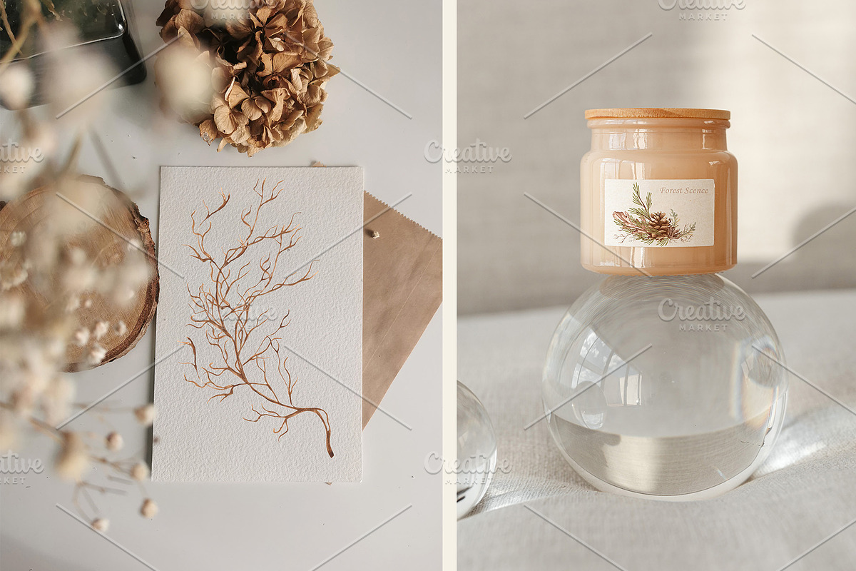 Watercolor Botanical Forest Set, an Animal Illustration by BarvArt (Photo 8 of 20)