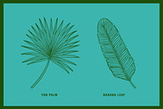 Vintage Tropical Flora Illustrations, an Object Illustration by Jaclyn Caris (Thumbnail 8 of 15)