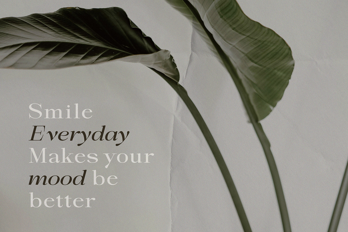 Sandyland Serif, a Serif Font by Violet Natural (Photo 2 of 11)