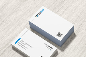 Professional Business Card