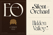 BD PHOSERINÉ | Display Serif, a Serif Font by Brandear Design (Thumbnail 8 of 23)