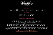 Mankind - Swirl Modern Script Font, a Script Font by Airotype (Thumbnail 12 of 13)