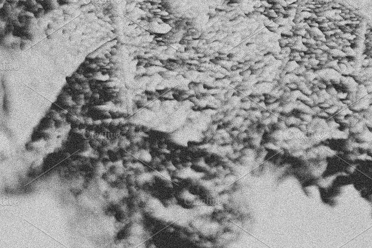 Black Static, a Texture Graphic by Jennifer Lauren Creative (Photo 14 of 20)