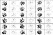 Realistic Roses Procreate Brush, a Brush Add-On by InkRef (Thumbnail 6 of 7)