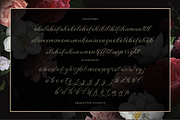 Wistallion | Classic Calligraphy, a Script Font by gracetype_studio (Thumbnail 12 of 12)