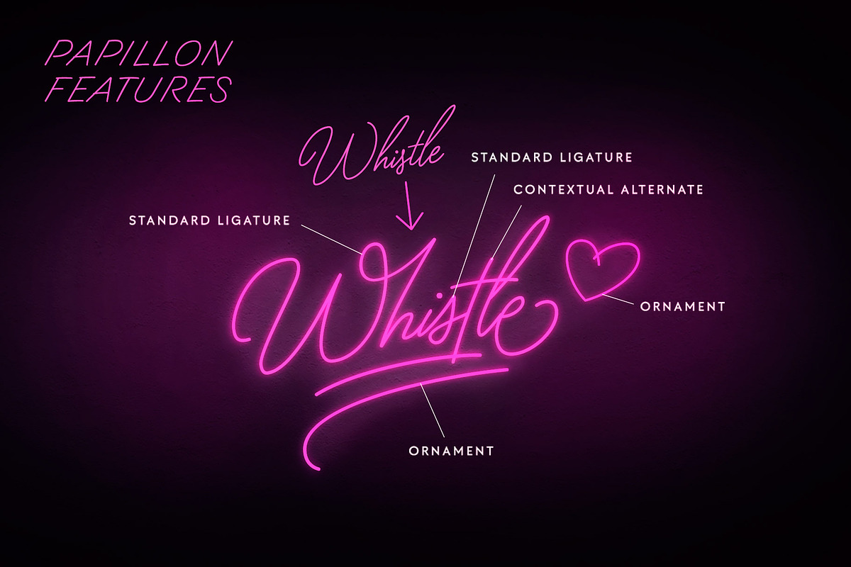 Papillon Signature Style Script preview 6