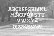 Piramid Font, a Serif Font by alit design (Thumbnail 3 of 3)