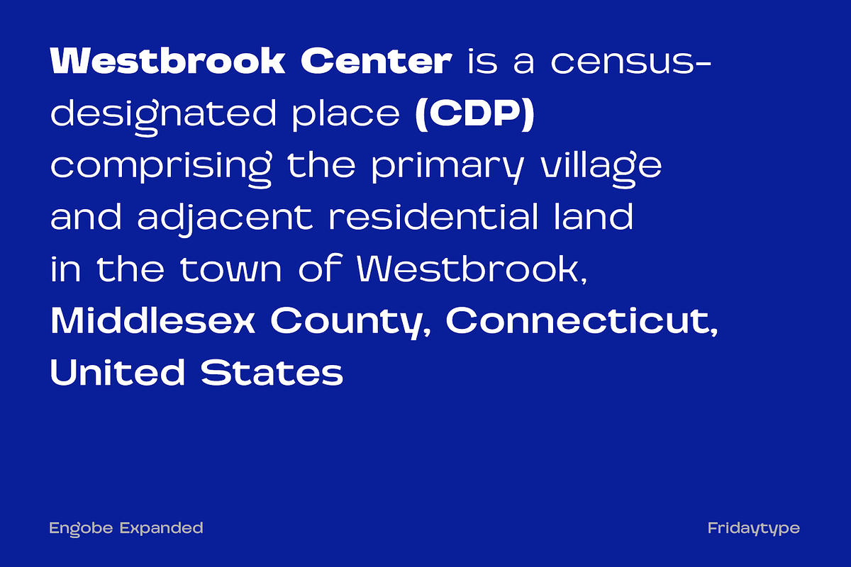 Engobe Expanded, a Sans Serif Font by Fridaytype (Photo 2 of 12)