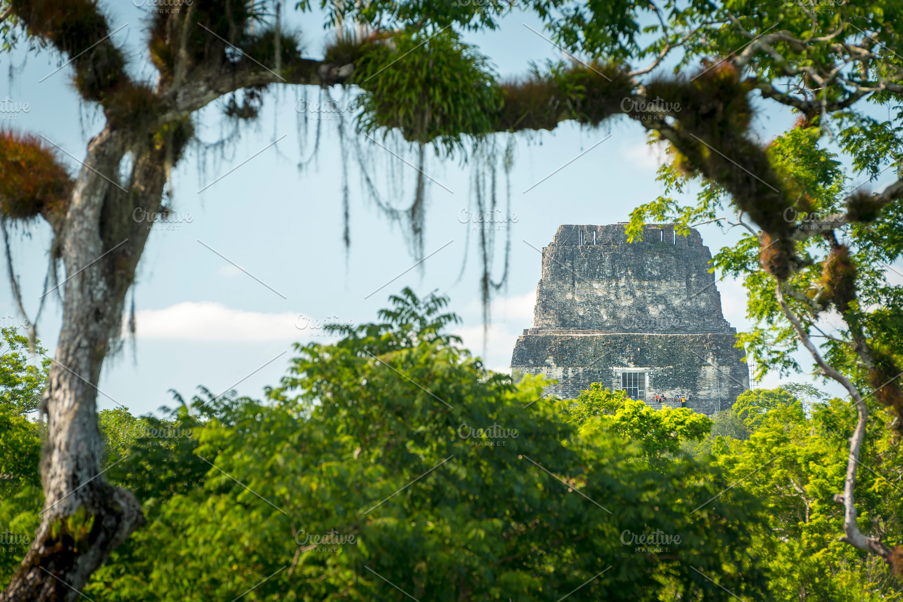 Tikal Mayan Jungle Ruins, an Architecture Photo by THP Creative