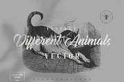 Vintage Bundle 2500+ Free Update, an Animal Illustration by Retro Machine (Thumbnail 120 of 170)
