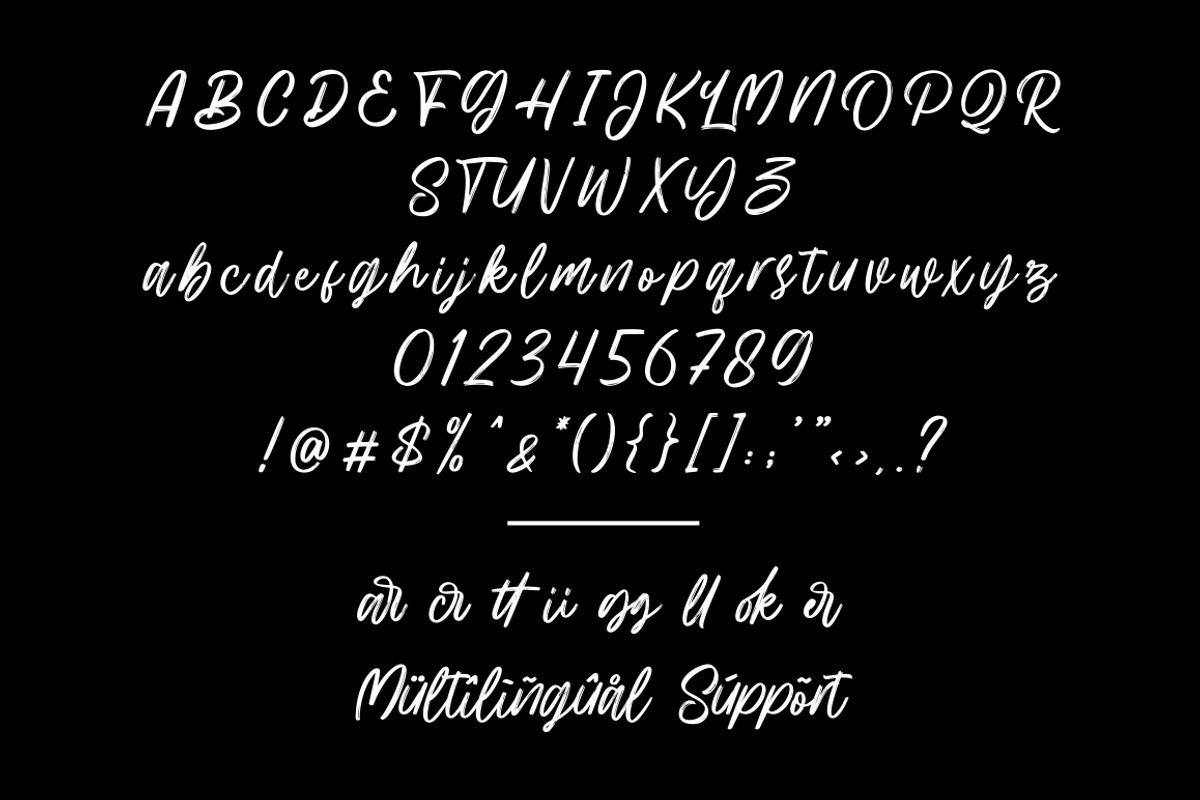 Hillbear - Handbrush Script Font, a Script Font by StringLabs (Photo 6 of 7)