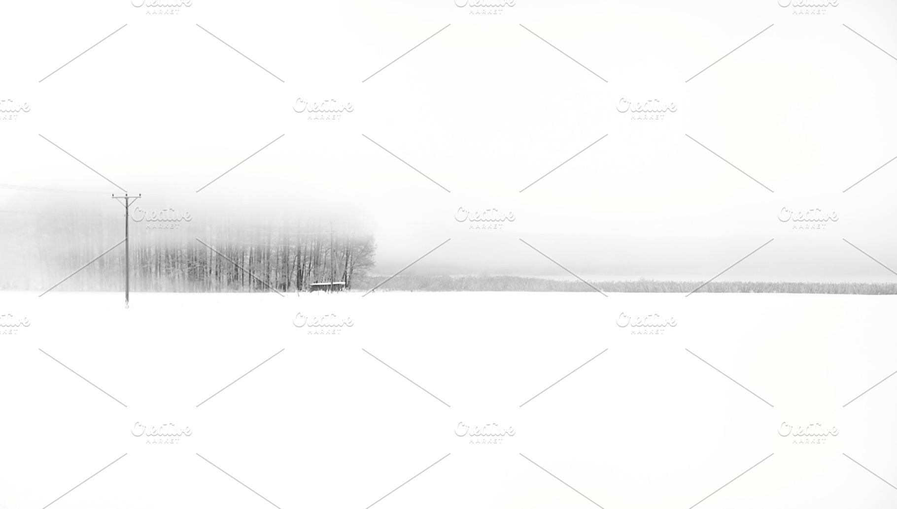 Snow And Mist