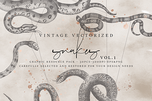 VintageVectorized-Snakes Clipart