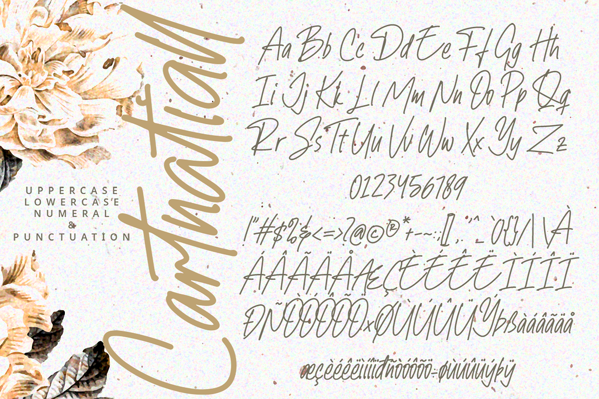 Cartnatiall - A Handwritten Font, a Handwritten Font by overlaytemplates (Photo 4 of 5)
