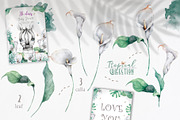 Cute Zebras Watercolor Jungle, an Animal Illustration by Ann Art Houze (Thumbnail 8 of 13)
