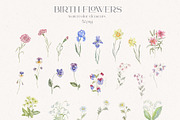 Birth-Flowers. Watercolor & Line Art, a Decorative Illustration by Designwork (Thumbnail 7 of 14)