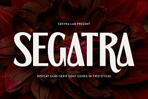 Segatra - Elegant Display Serif Font
