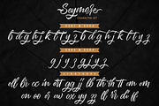 Seymore – Brush Script Font, a Script Font by Typefactoryco (Thumbnail 9 of 12)