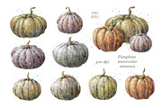 Watercolor Floral Pumpkin Clipart., a Decorative Illustration by VetaDesign (Thumbnail 2 of 10)