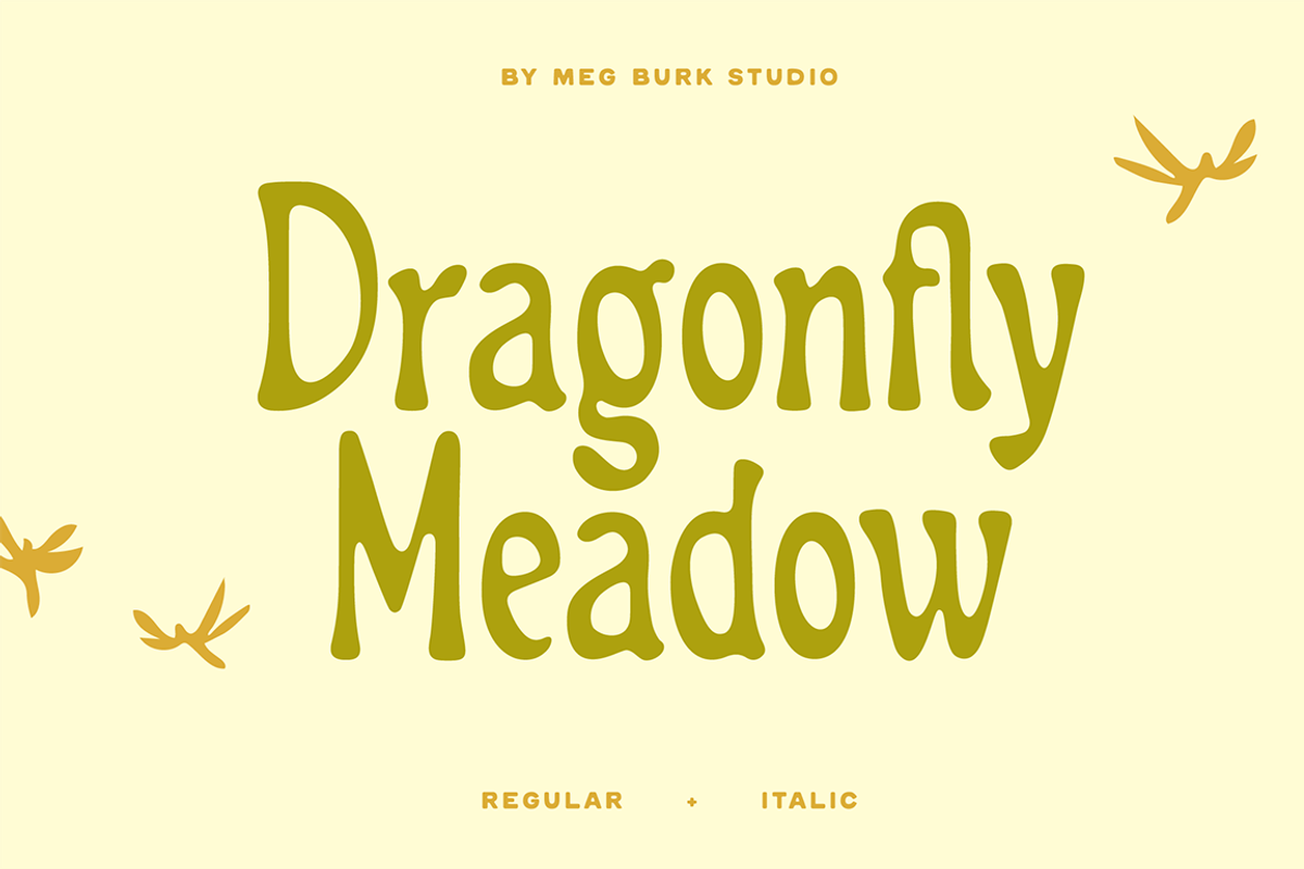 Dragonfly Meadow - Tall Serif, a Serif Font by MEG BURK CHOI (Photo 2 of 3)