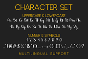 Clairmont Script, a Handwritten Font by Dm Studio (Thumbnail 7 of 8)