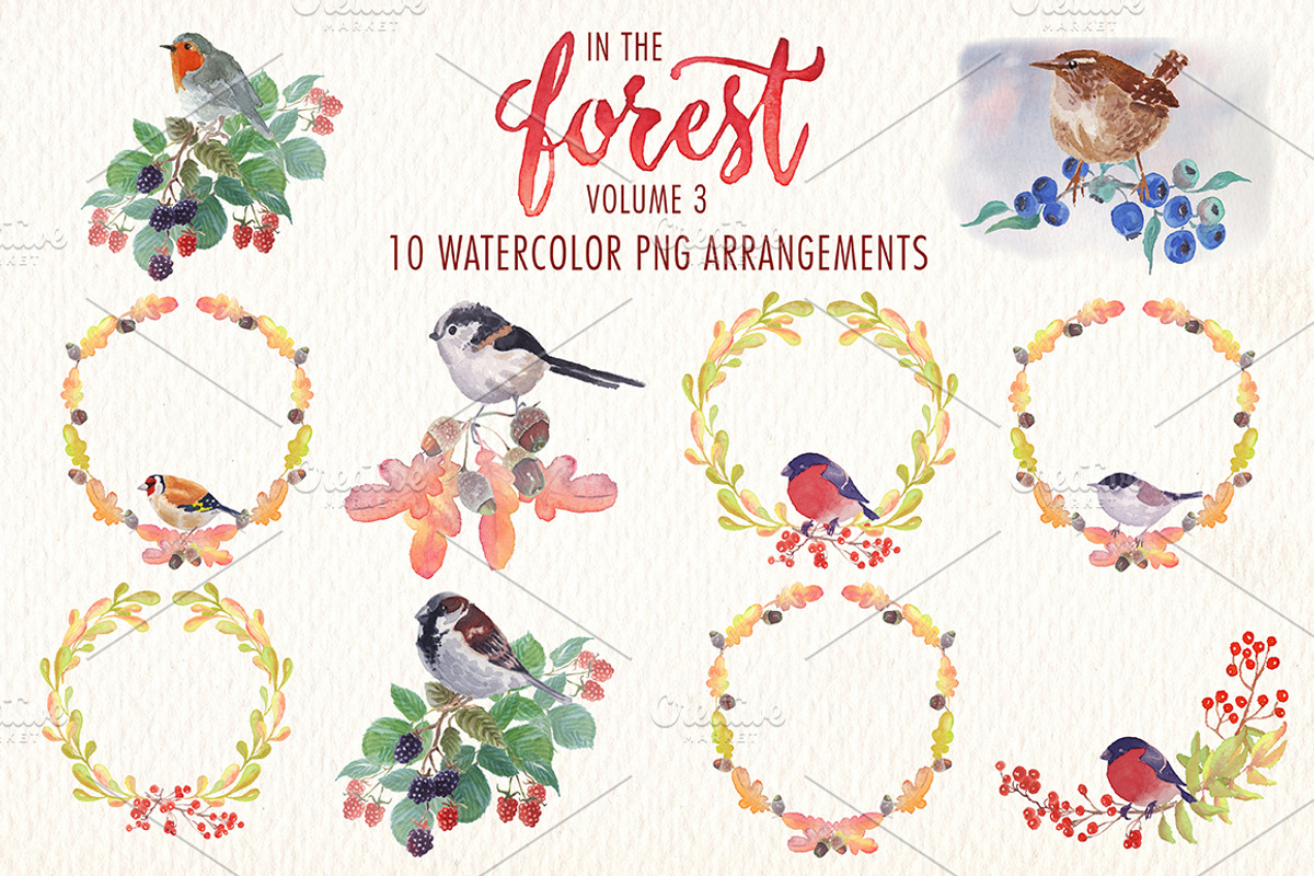 Welcome to the forest. Volume 3, an Illustration by Art & Things (Photo 2 of 3)