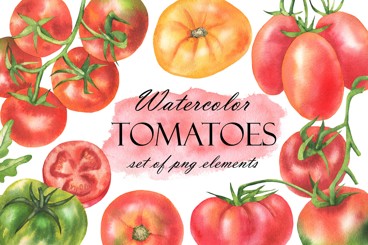 Watercolor Tomatoes, a Food Illustration by OlDm_Shop (Photo 1 of 5)