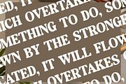 Daylist Beach Retro Serif Font, a Serif Font by Letterena Studios (Thumbnail 10 of 15)