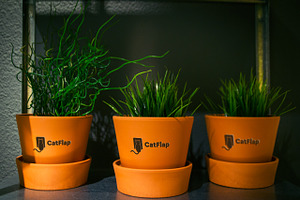 Flowerpot Mockup #3