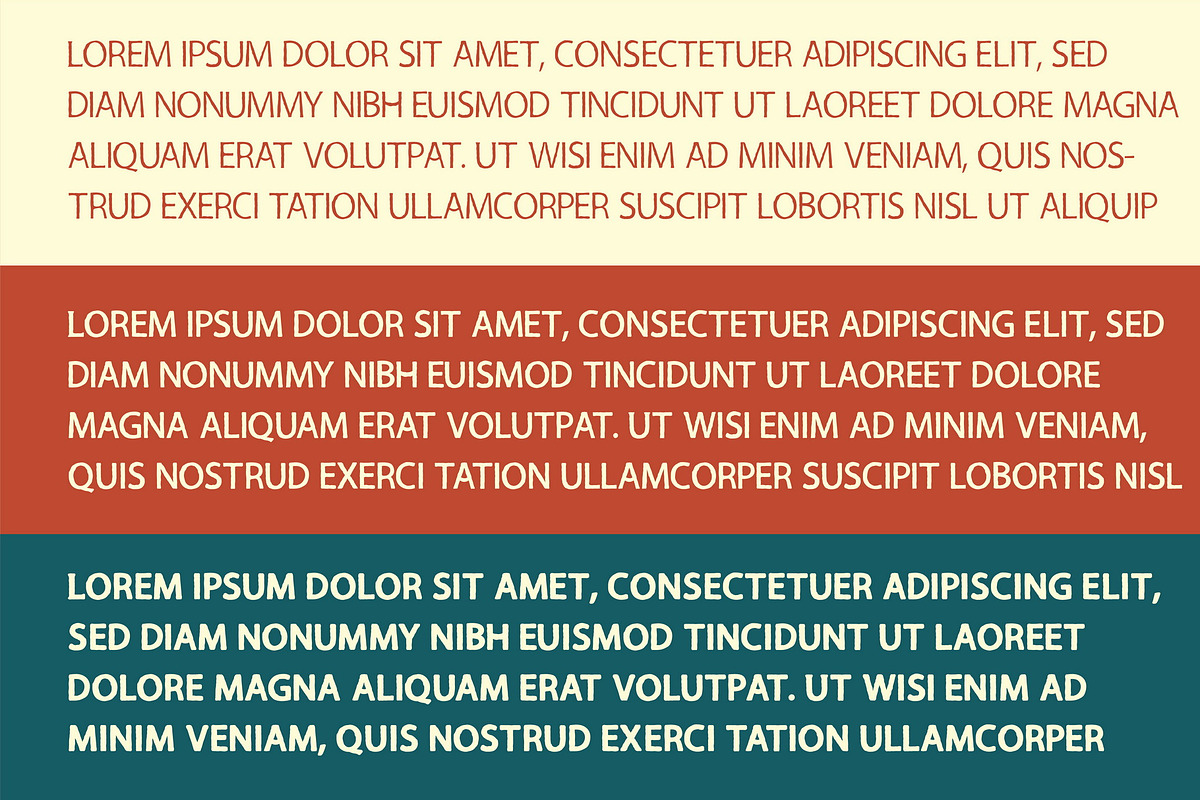 RUSTER COLLECTION preview 3