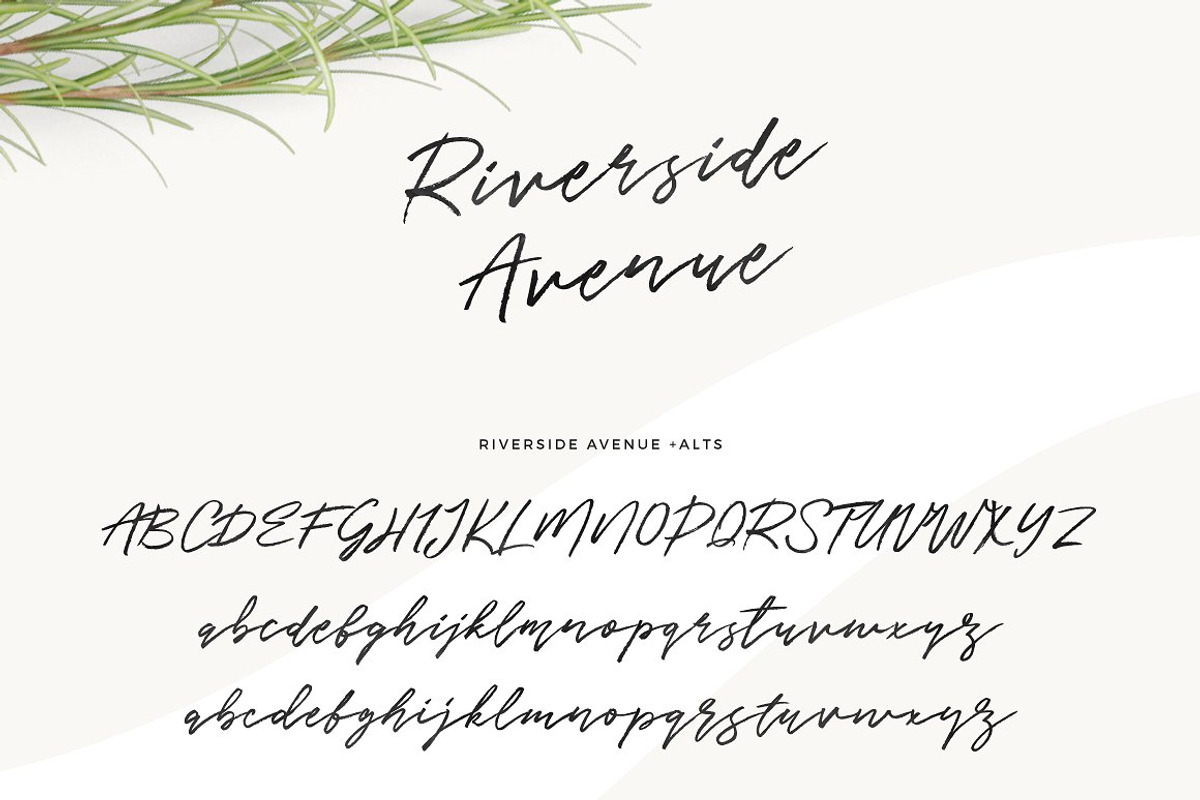 Typographer's Dream Box + 200 Logos, a Script Font by Mats-Peter Forss (Photo 73 of 130)