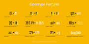 Spitting Image PRO, a Sans Serif Font by preussTYPE (Thumbnail 9 of 9)