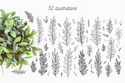 52 hand drawn branches, an Object Graphic by Wander Designs (Thumbnail 6 of 6)