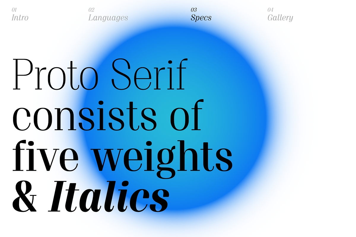 Proto Serif Font Family, a Serif Font by Bukva™ Type Foundry (Photo 5 of 16)