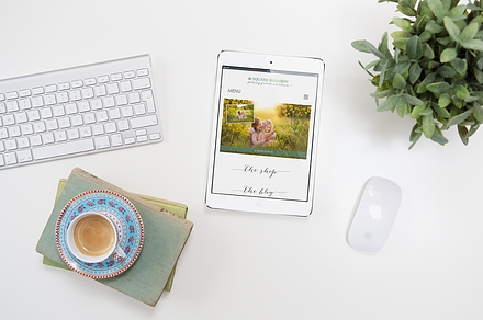 Styled Desktop Mockup