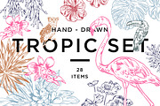 TROPIC SET, an Animal Illustration by Tanya Akhmett (Thumbnail 1 of 5)