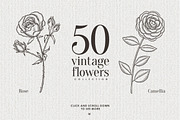 Vintage Floral Collection, a Decorative Illustration by Chelovector (Thumbnail 2 of 5)