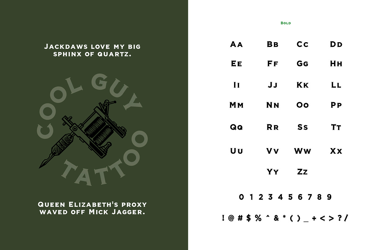 Veneer, a Serif Font by Loudoun Design Co. (Photo 10 of 11)