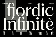 Felgiora, a Serif Font by Propertype (Thumbnail 14 of 16)