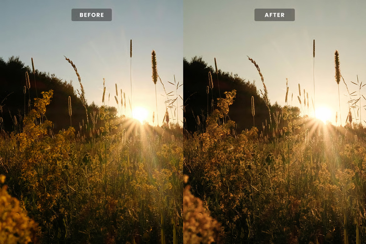 Golden Boho Lightroom Presets, a Preset Add-On by Brand Earth (Photo 3 of 4)