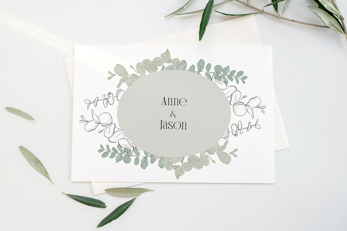 PLANTS & HERBS illustrations set, a Healthcare Illustration by Yuliia Lashevska (Photo 12 of 14)