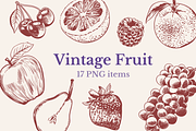 Vintage Fruit, a Food Illustration by TatianaCociorva (Thumbnail 1 of 3)