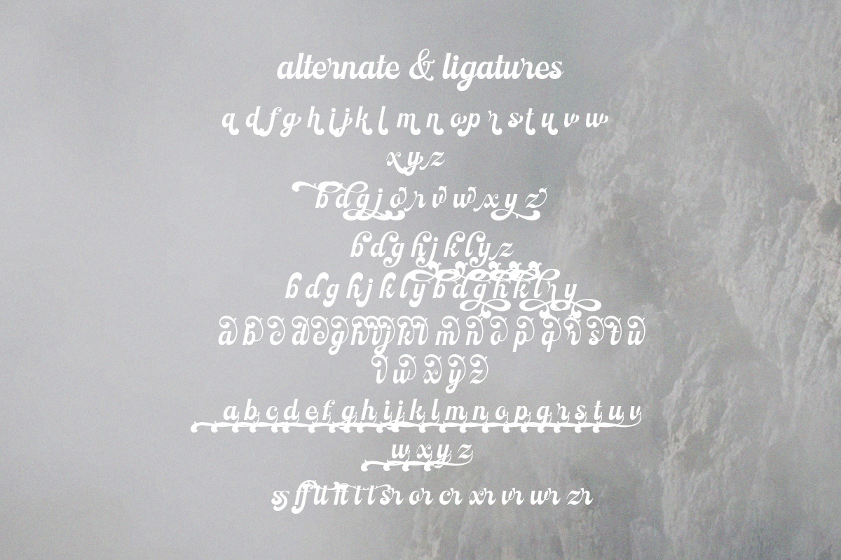 Nostern Script, a Script Font by Letterhend Studio (Photo 9 of 10)
