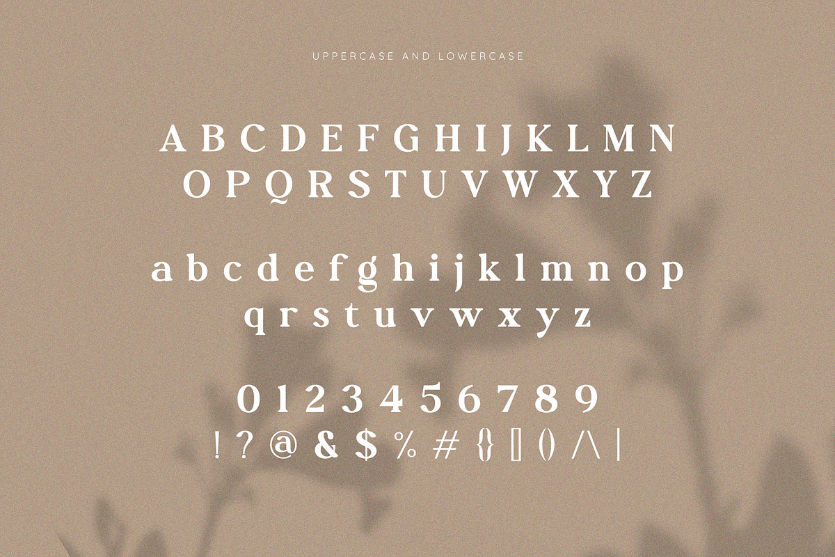Molnica – Stylish Modern Serif Font, a Serif Font by BrandSemut (Photo 8 of 8)