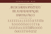 Serandipity Boutique Font Duo, a Serif Font by Storytype Studio (Thumbnail 12 of 15)