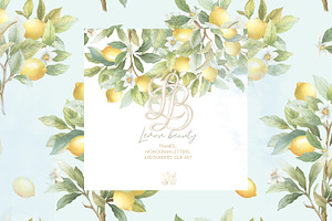 Vintage Lemon Floral Frames bundle