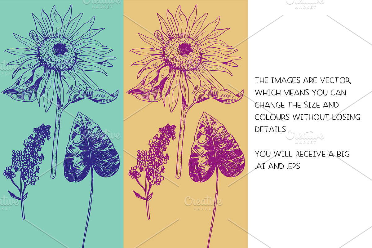 Flowers & foliage - illustrations, a Decorative Illustration by Renée from Studio neetje (Photo 4 of 4)