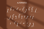 Angellina | Script font, a Script Font by Scratchones (Thumbnail 7 of 8)